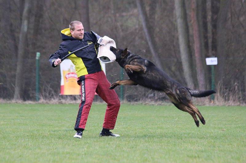 Ukázka z činnosti oddílů a klubů Základní kynologické organizace Rakovník.