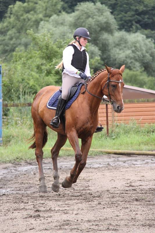 Národních soutěží Working Equitation ve Rtyni nad Bílinou se zúčastnili i koně a jezdci hředelského Jezdeckého klubu Spongilit.