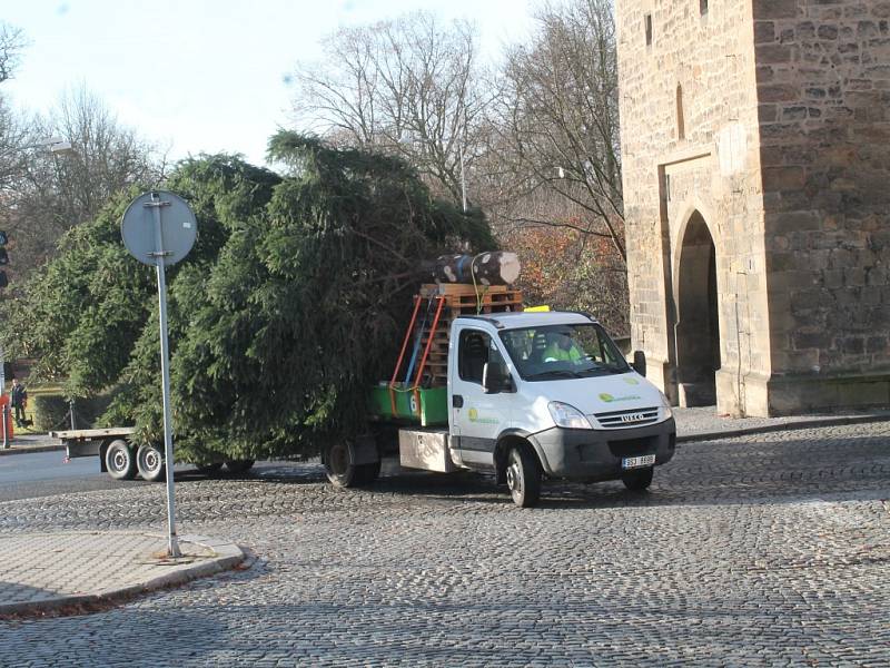 Doprava a stavění stromu na Husově náměstí v Rakovníku