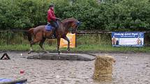 Národních soutěží Working Equitation ve Rtyni nad Bílinou se zúčastnili i koně a jezdci hředelského Jezdeckého klubu Spongilit.