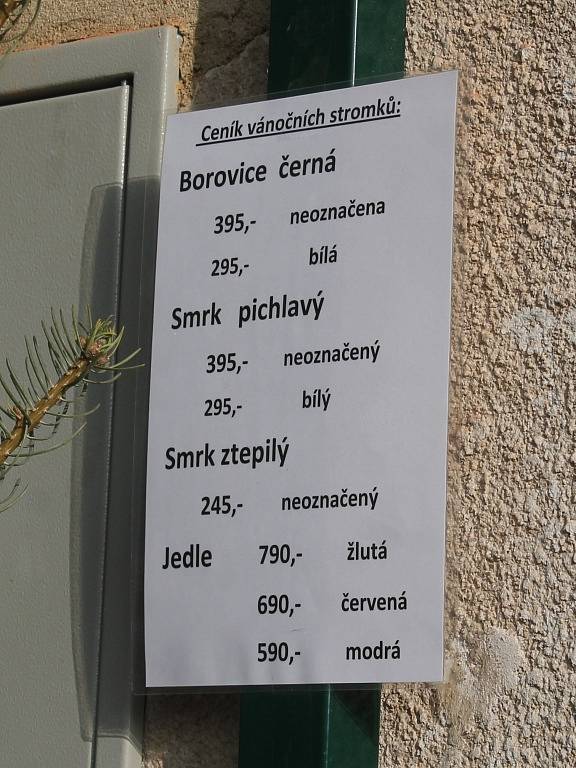 Prodej vánočních stromků v Senomatech