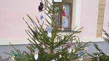 Soutěž o nejhezčí vánoční stromeček v Novém Strašecí.