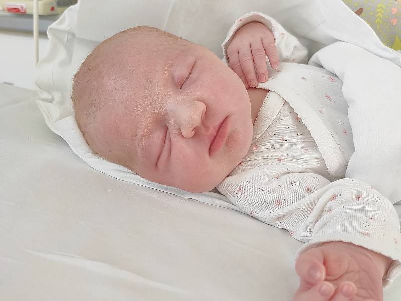Dominika Kaprová se narodila 5. listopadu 2021 s váhou 3500 g a mírou 48 cm. Radost dělá mamince Kristýně Kaprové a Vojtovi Kaprovi. Doma v Řevničově má ještě dvouletou sestřičku Nikolku.
