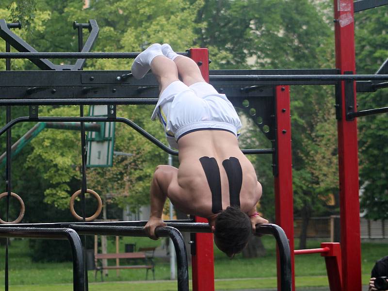 Pátý ročník Street workout Battle v Čermákových sadech.