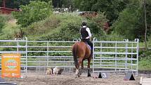 Národních soutěží Working Equitation ve Rtyni nad Bílinou se zúčastnili i koně a jezdci hředelského Jezdeckého klubu Spongilit.