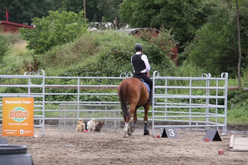 Národních soutěží Working Equitation ve Rtyni nad Bílinou se zúčastnili i koně a jezdci hředelského Jezdeckého klubu Spongilit.