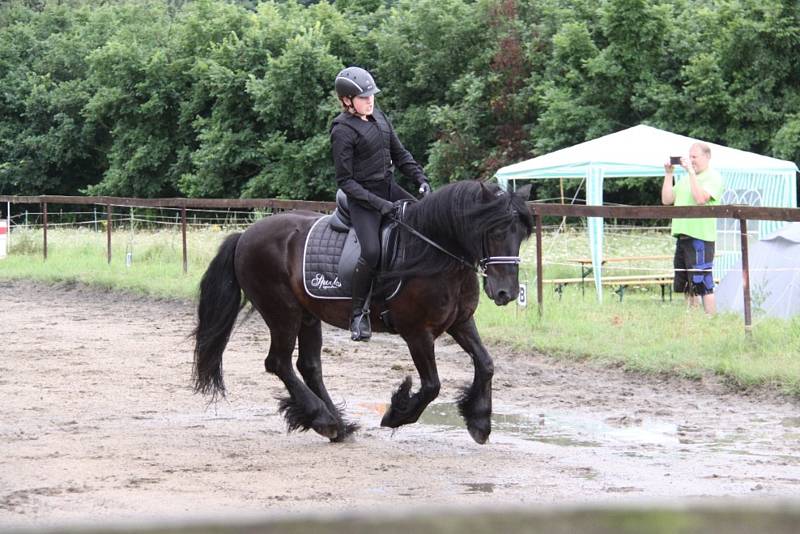 Národních soutěží Working Equitation ve Rtyni nad Bílinou se zúčastnili i koně a jezdci hředelského Jezdeckého klubu Spongilit.