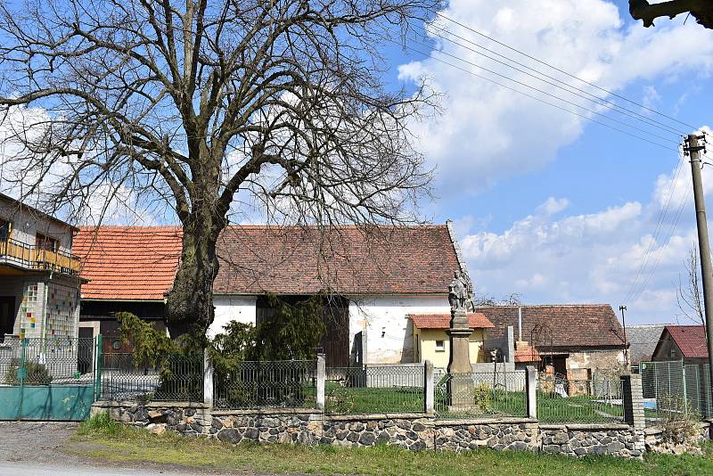 Ve Velké Bukové se v současné době upravuje kulturní sál a buduje úpravna vody s přípojkou. V plánu je rovněž výstavba kanalizace, zřízení multifunkčního hřiště či parkoviště.