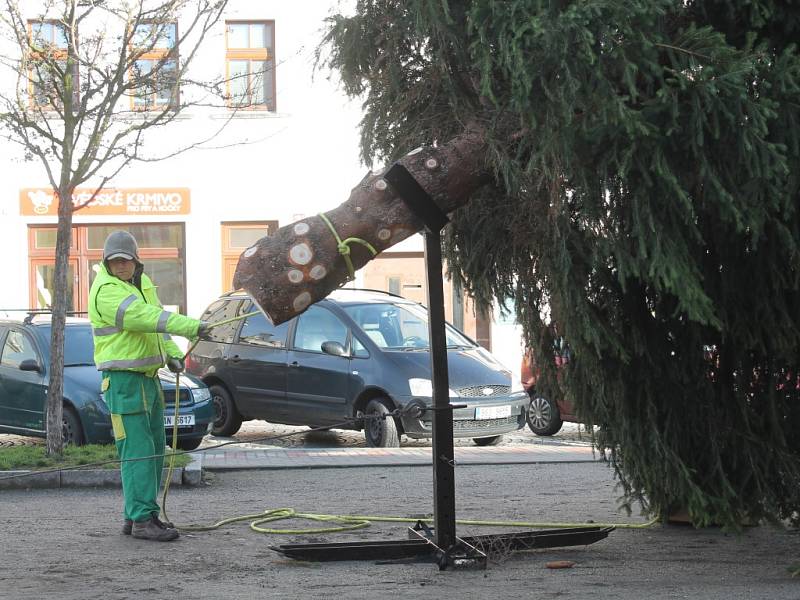 Doprava a stavění stromu na Husově náměstí v Rakovníku