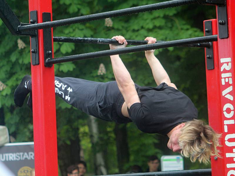 Pátý ročník Street workout Battle v Čermákových sadech.