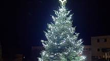 Vánoční strom v obci Petrovice.
