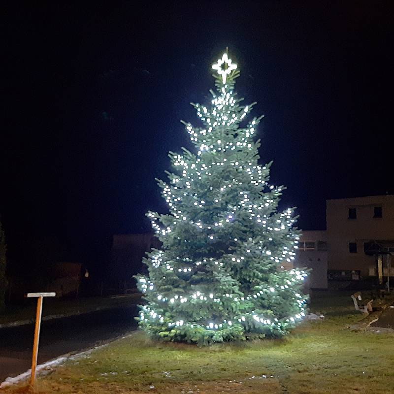 Vánoční strom v obci Petrovice.