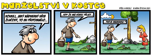 Série vtipů Manželství v kostce.