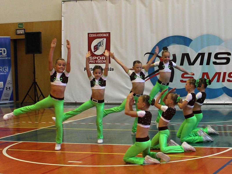 Aerobičky z klubu Angels Rakovník získaly v roce 2016 spoustu medailí