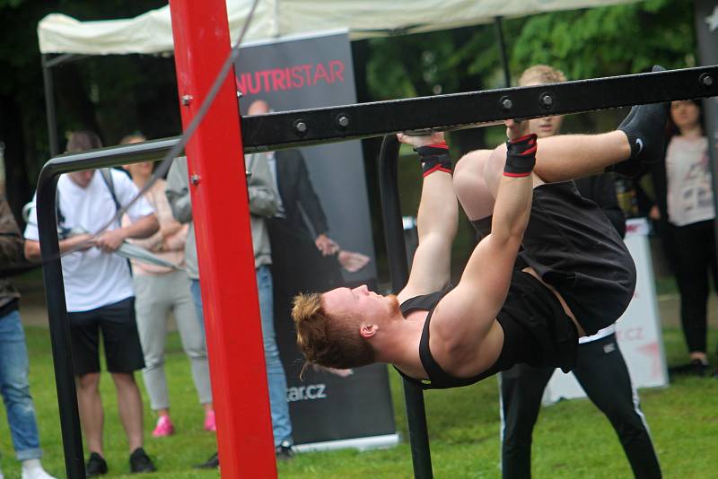 Pátý ročník Street workout Battle v Čermákových sadech.