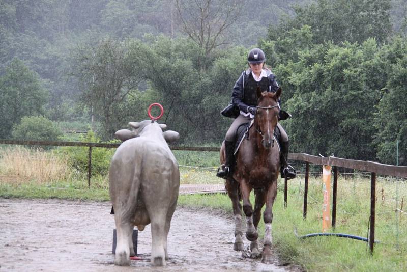 Národních soutěží Working Equitation ve Rtyni nad Bílinou se zúčastnili i koně a jezdci hředelského Jezdeckého klubu Spongilit.