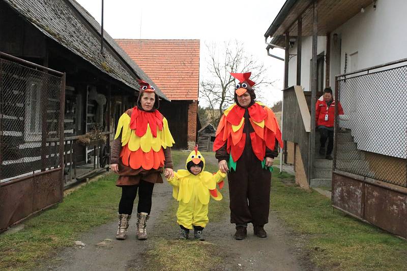 Průvod čítal okolo šedesáti masek, vycházelo se od hospody, kde se také po dvou hodinách končilo a začínalo se losovat o nejhezčí masky.