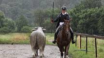 Národních soutěží Working Equitation ve Rtyni nad Bílinou se zúčastnili i koně a jezdci hředelského Jezdeckého klubu Spongilit.