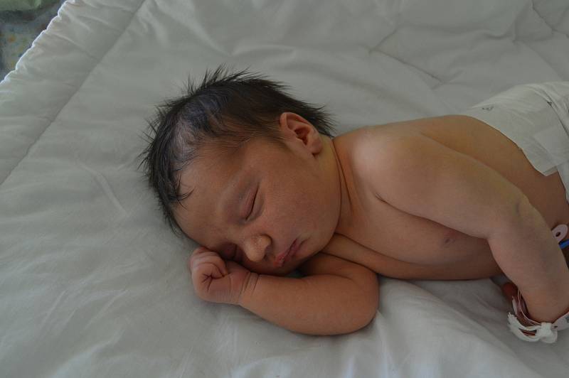 EMA ALŽBĚTA ŠENITKOVÁ, PRAHA. Na rodila se 28. ledna 2019. Po porodu vážila 3,2 kg. Rodiče jsou Ivana a Miloslav.