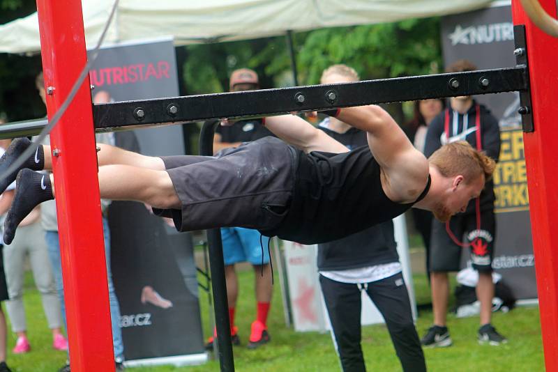 Pátý ročník Street workout Battle v Čermákových sadech.