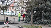 Vánoční strom byl na Husovo náměstí v Rakovníku přivezen 25. listopadu z nábřeží Dr. Beneše.