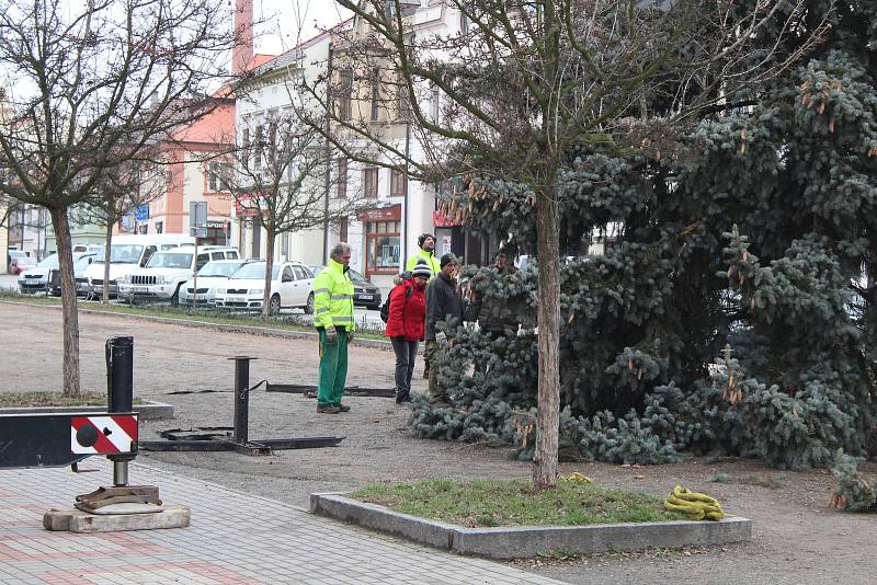 Vánoční strom byl na Husovo náměstí v Rakovníku přivezen 25. listopadu z nábřeží Dr. Beneše.