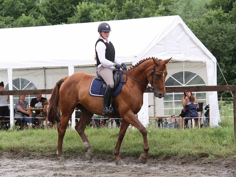 Národních soutěží Working Equitation ve Rtyni nad Bílinou se zúčastnili i koně a jezdci hředelského Jezdeckého klubu Spongilit.