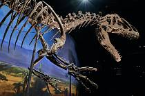 Expozice dinosaurů v Dinosauria Museum Prague