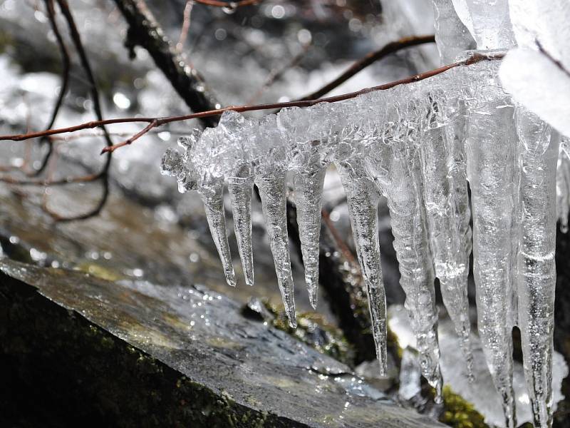 Křivoklát a Roztoky na konci března