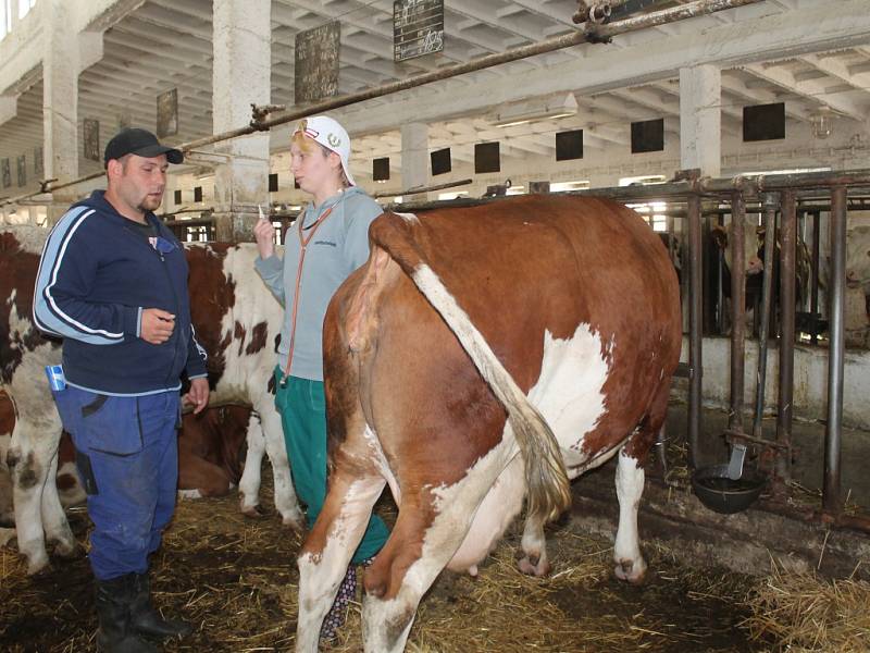 Studenti SZeŠ Rakovník oboru chovatelství maturují z praxe