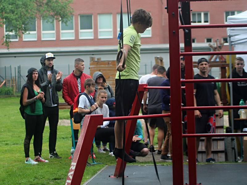 Pátý ročník Street workout Battle v Čermákových sadech.