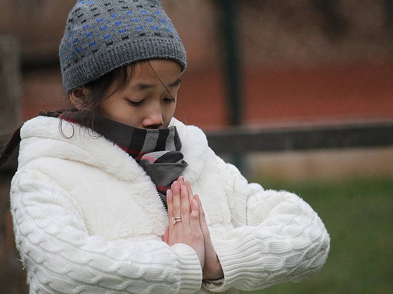 Cvičení Falun Gong v Křivoklátě