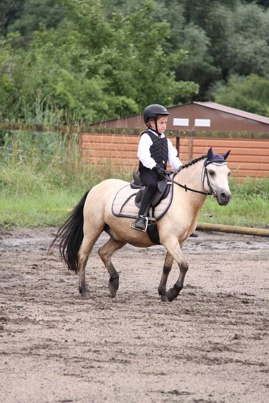 Národních soutěží Working Equitation ve Rtyni nad Bílinou se zúčastnili i koně a jezdci hředelského Jezdeckého klubu Spongilit.