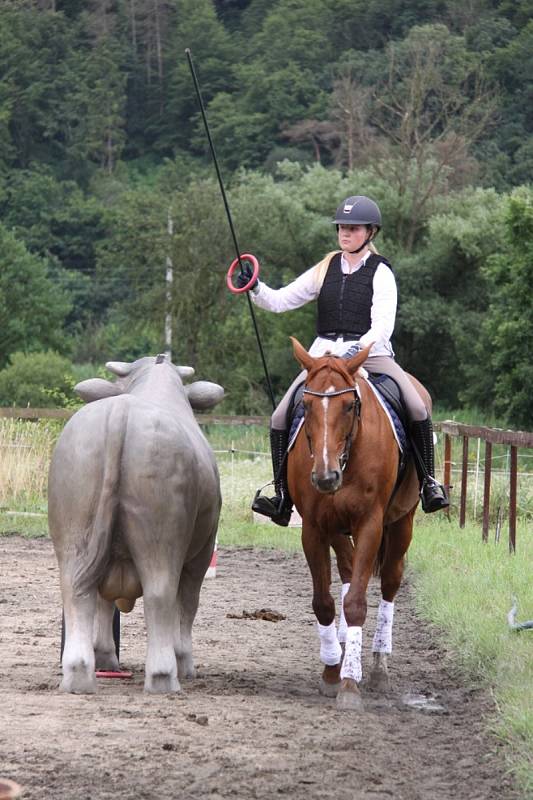 Národních soutěží Working Equitation ve Rtyni nad Bílinou se zúčastnili i koně a jezdci hředelského Jezdeckého klubu Spongilit.