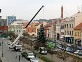 V loňském roce zdobil Husovo náměstí v Rakovníku smrk stříbrný. Městu ho daroval jeden z občanů Rakovníka.