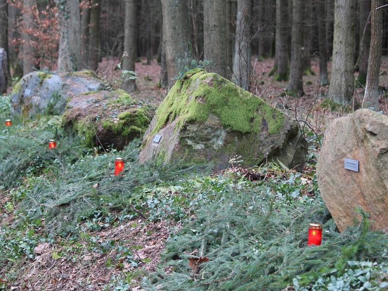 Pieta v křivoklátských lesích