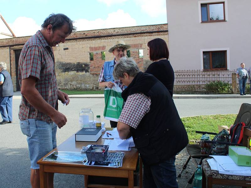 Jízda historických vozidel do vrchu Džbán.