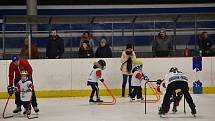 Na rakovnickém zimním stadionu se uskutečnila tradiční náborová akce Týden hokeje.