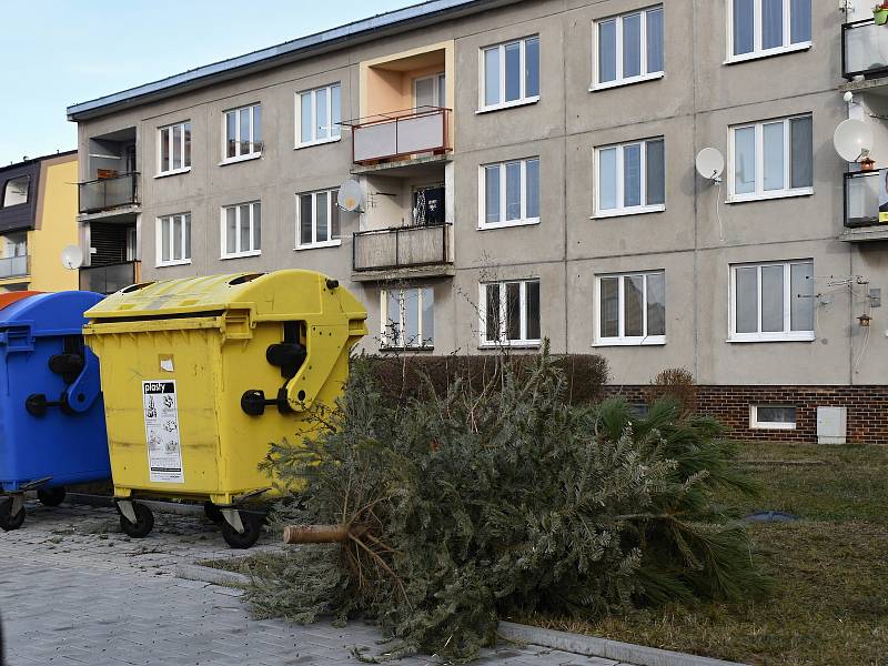 Podle nové vyhlášky odpadového zákona i vyhlášky města by neměly vánoční stromky končit u kontejnerů, přesto se tak děje. Firma Marius Pedersen proto organizuje svozy.