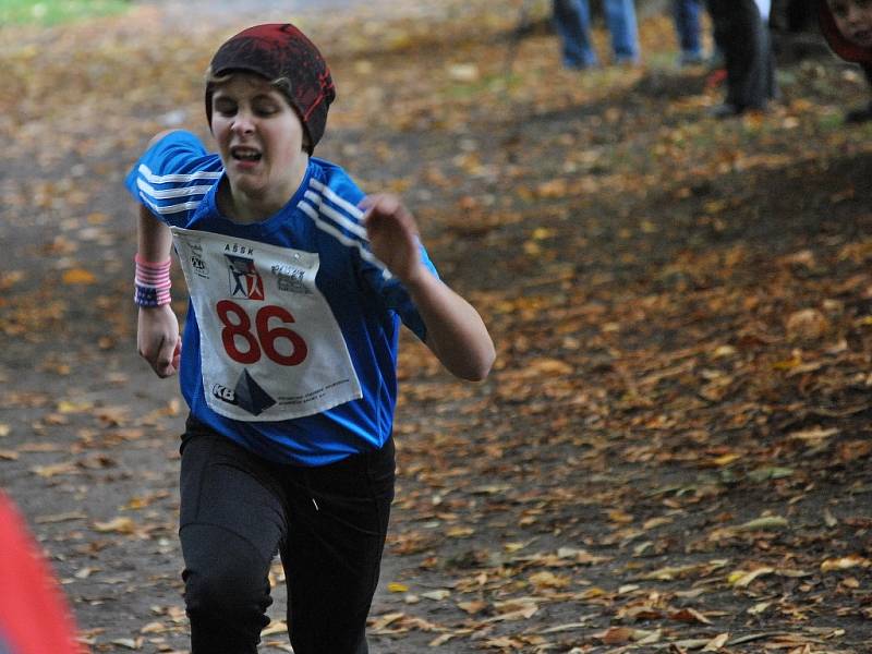 Rakovnický vytrvalec se běžel v podzimním parku