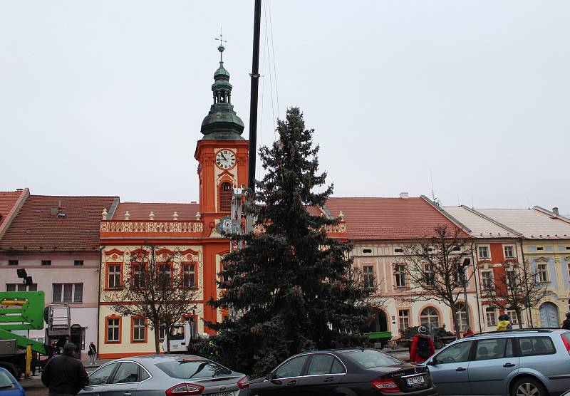 Vánoční strom byl na Husovo náměstí v Rakovníku přivezen 25. listopadu z nábřeží Dr. Beneše.