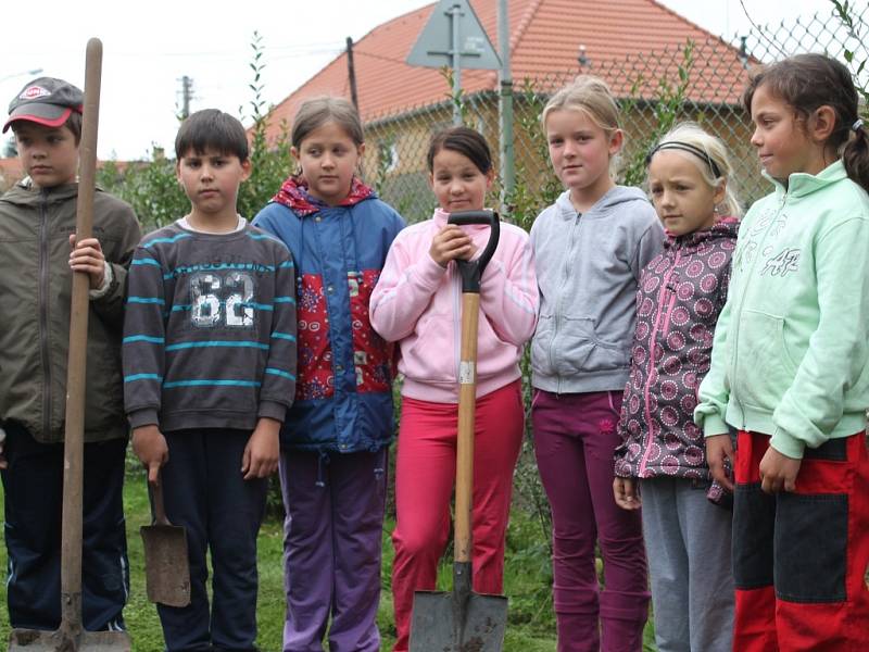 Žáci ZŠ Olešná vysázeli Strom míru na hřišti před školou