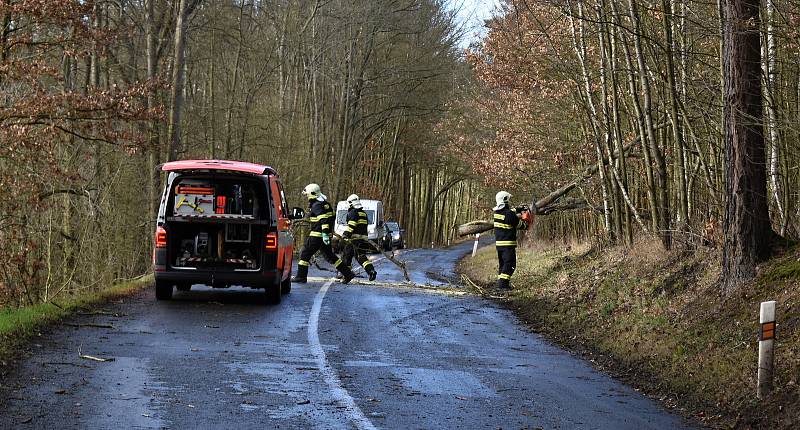 Rakovničtí hasiči v rozmezí několika minut museli odstraňovat dva padlé stromy u Senomat.