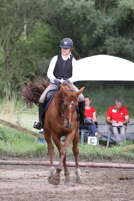 Národních soutěží Working Equitation ve Rtyni nad Bílinou se zúčastnili i koně a jezdci hředelského Jezdeckého klubu Spongilit.