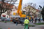 Historické centrum Rakovníka zdobí od pátku strom z obce Kolešovice.