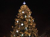 Vánoční strom ve městě Rakovník.