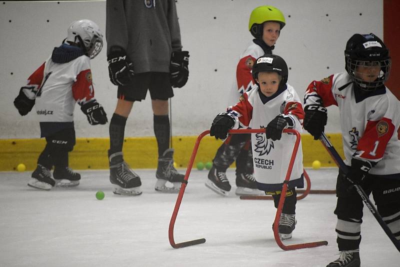 HC Rakovník ve spolupráci s Českým hokejem uspořádal v pátek 24. září 2021 na zimním stadionu v Rakovníku akci v rámci Týdne hokeje.