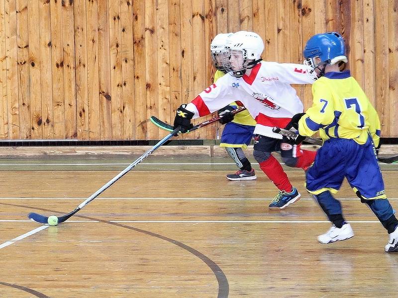 V rakovnické sportovní hale se uskutečnil druhý ročník charitativní akce Retro hokejbal pomáhá. Hokejbalisté a sponzoři vybrali dohromady přes 42 tisíc korun, které byly rozděleny čtyřem organizacím.