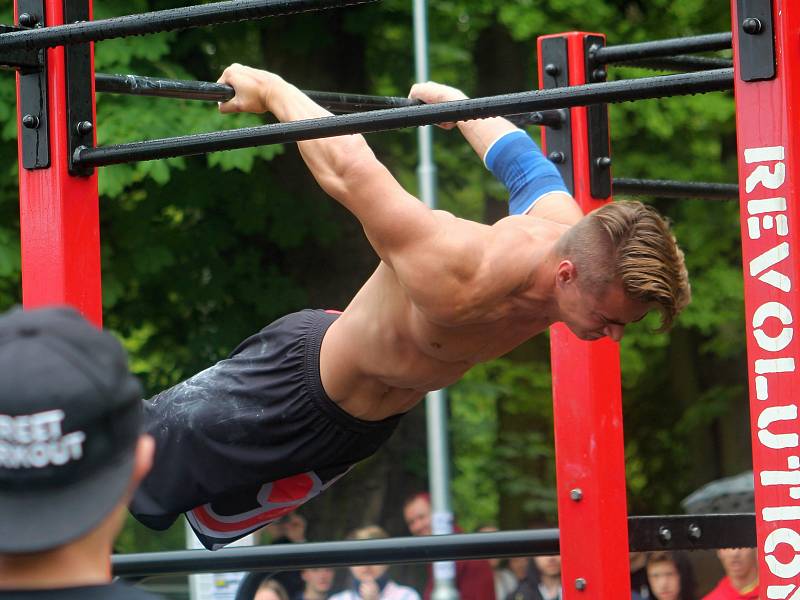 Pátý ročník Street workout Battle v Čermákových sadech.