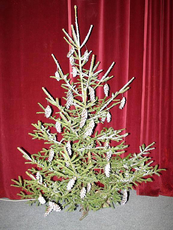 Rozsvěcení vánočního stromu v Lubné